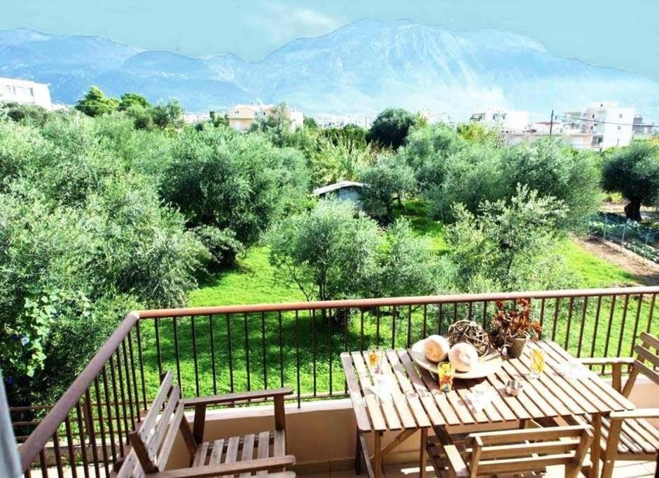Amalia'S Serendipity - City Lights & Mountain Vistas Kalamata Dış mekan fotoğraf